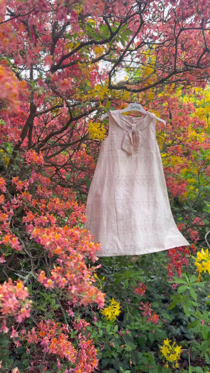 Blush Pink Dress